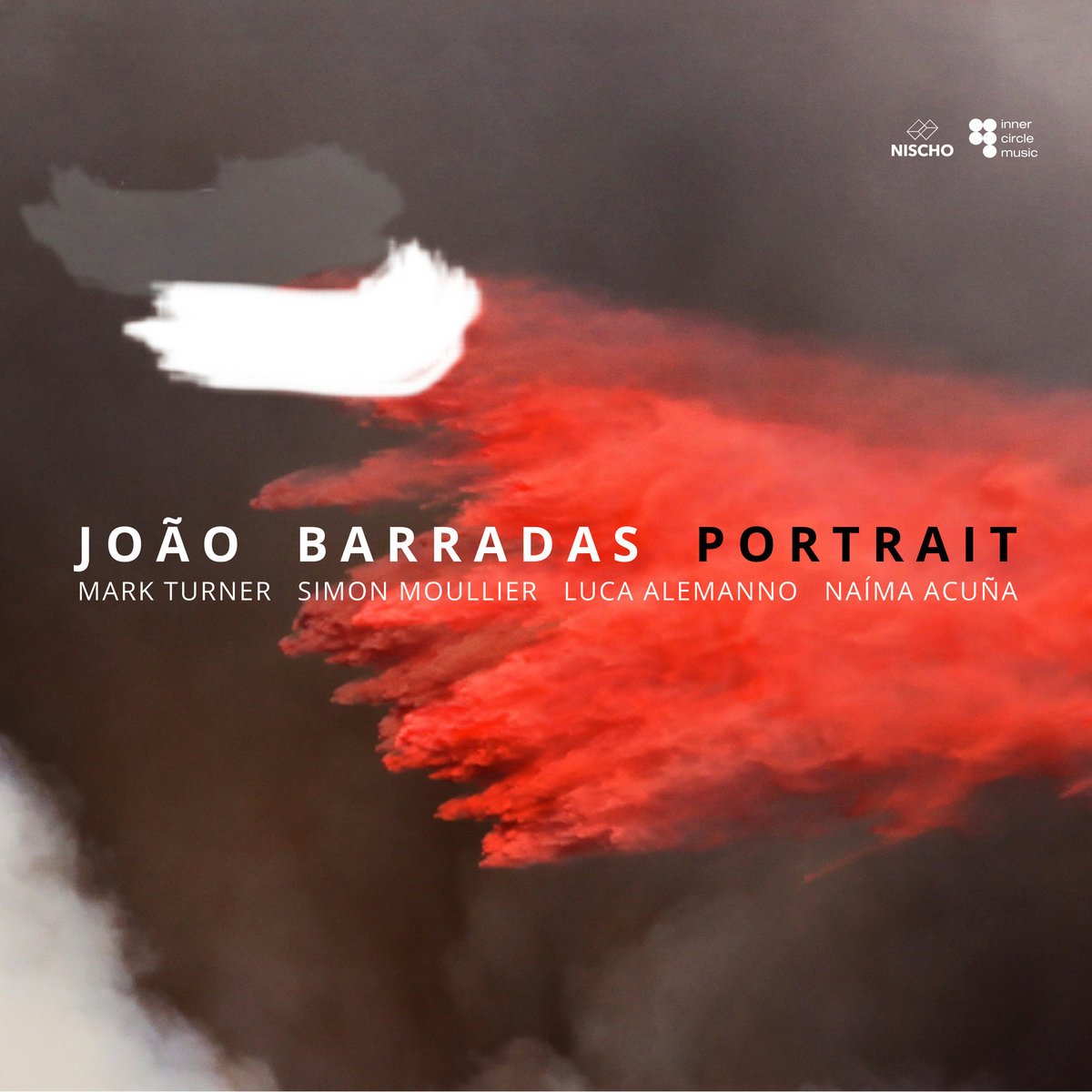 Joao Barradas Portrait